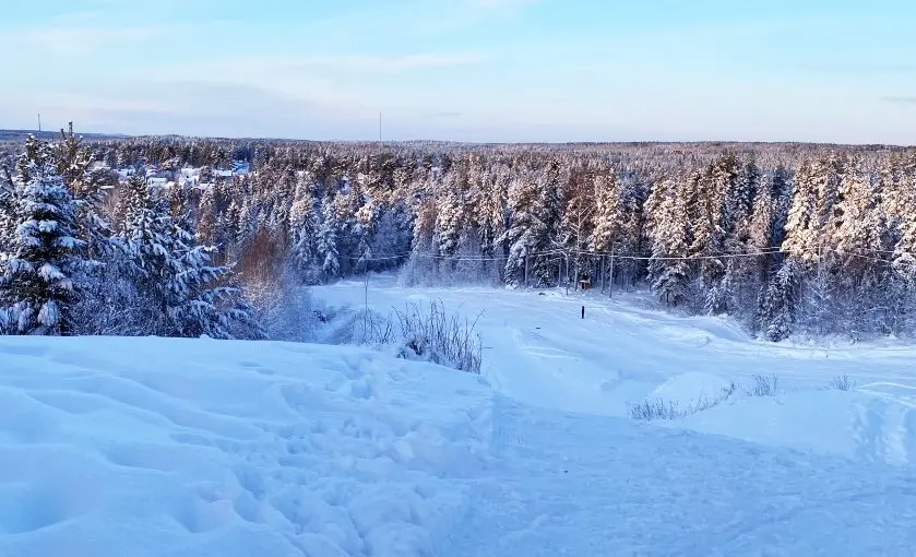 Pulkabacke omgiven av snöig skog